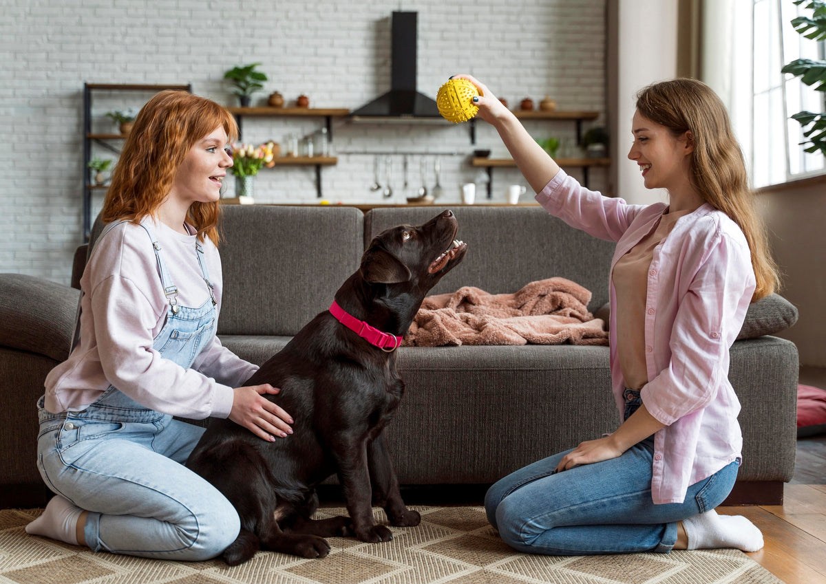 Pet Essentials