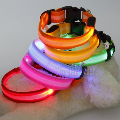 LED Dog Safety Collar – Night Glow Pet Essentials-9