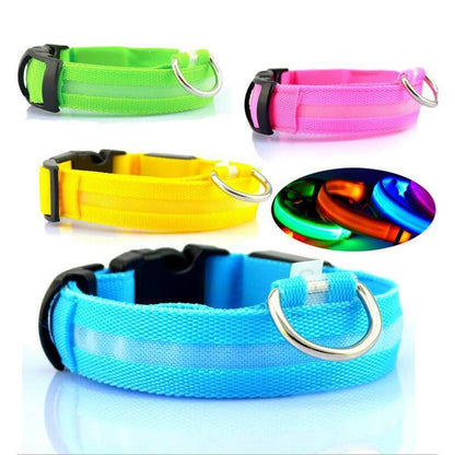 LED Dog Safety Collar – Night Glow Pet Essentials-9