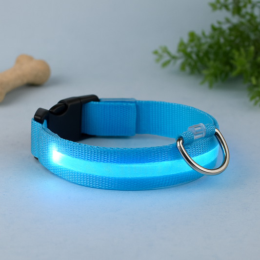 LED Dog Safety Collar – Night Glow Pet Essentials-9