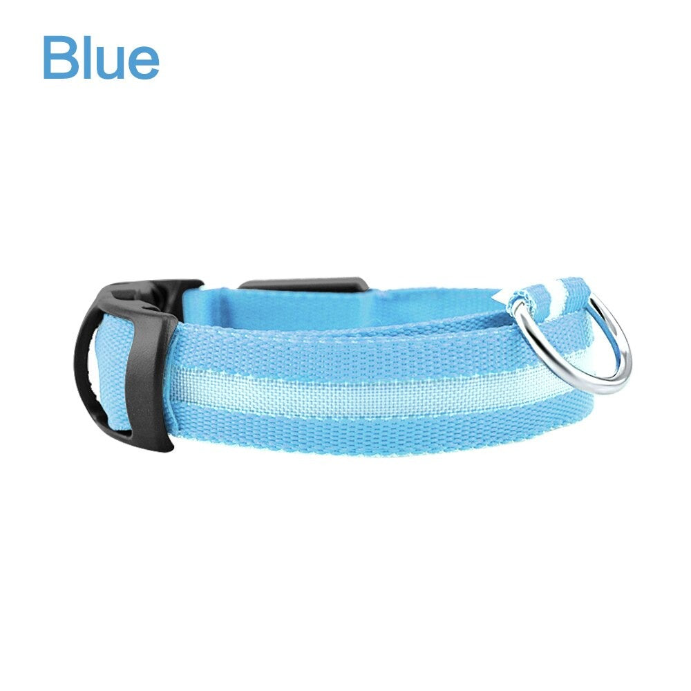 LED Dog Safety Collar – Night Glow Pet Essentials-9