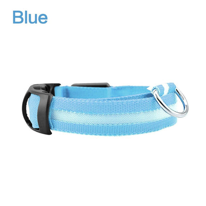 LED Dog Safety Collar – Night Glow Pet Essentials-9