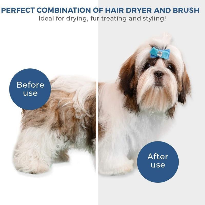 2-in-1 Pet Dryer Brush Pet Essentials-9