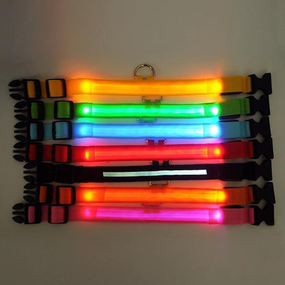 LED Dog Safety Collar – Night Glow Pet Essentials-9