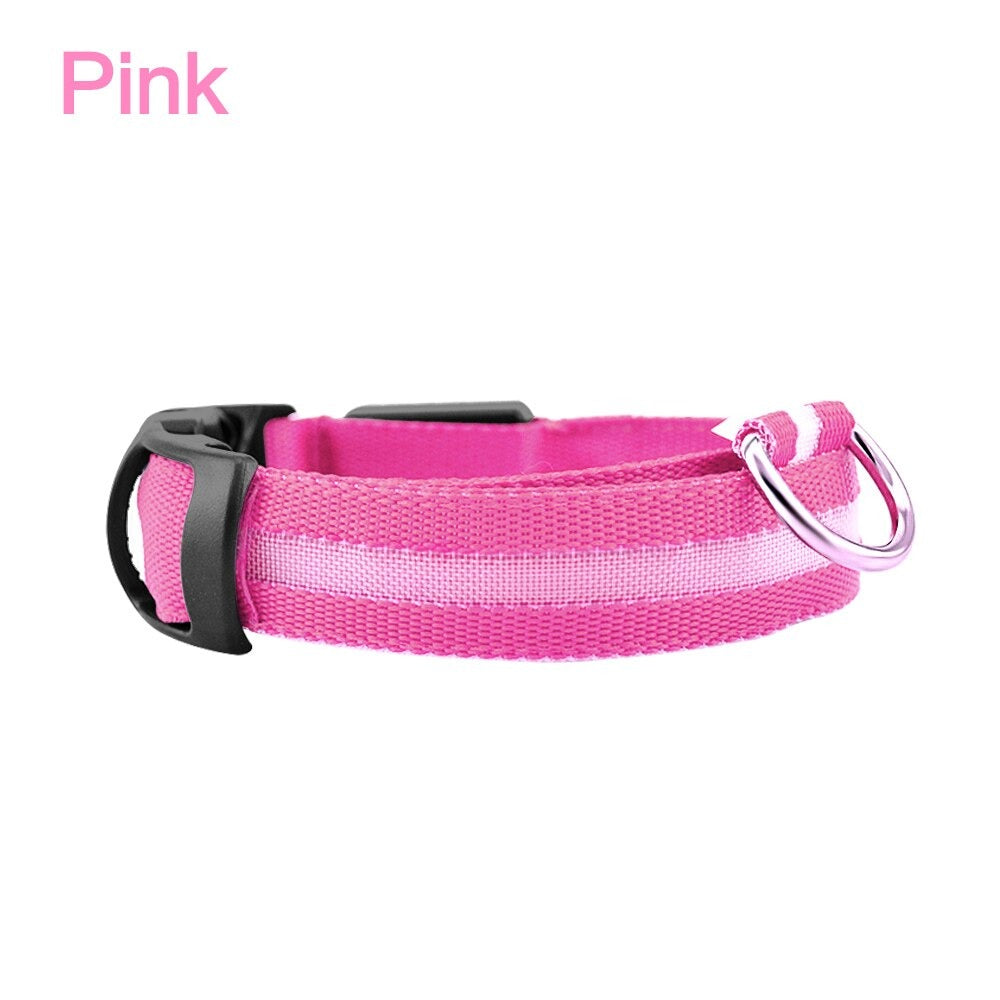 LED Dog Safety Collar – Night Glow Pet Essentials-9