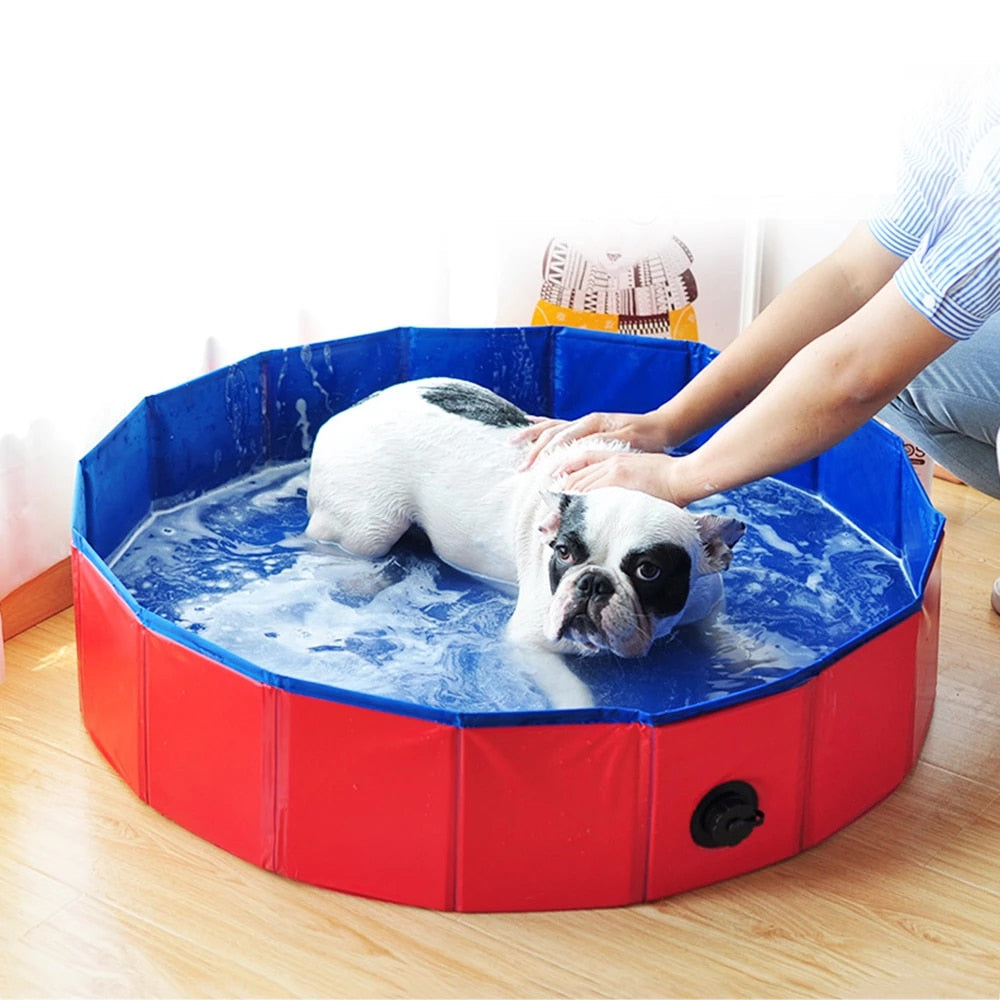 Foldable Pet Swimming Pool Pet Essentials-9