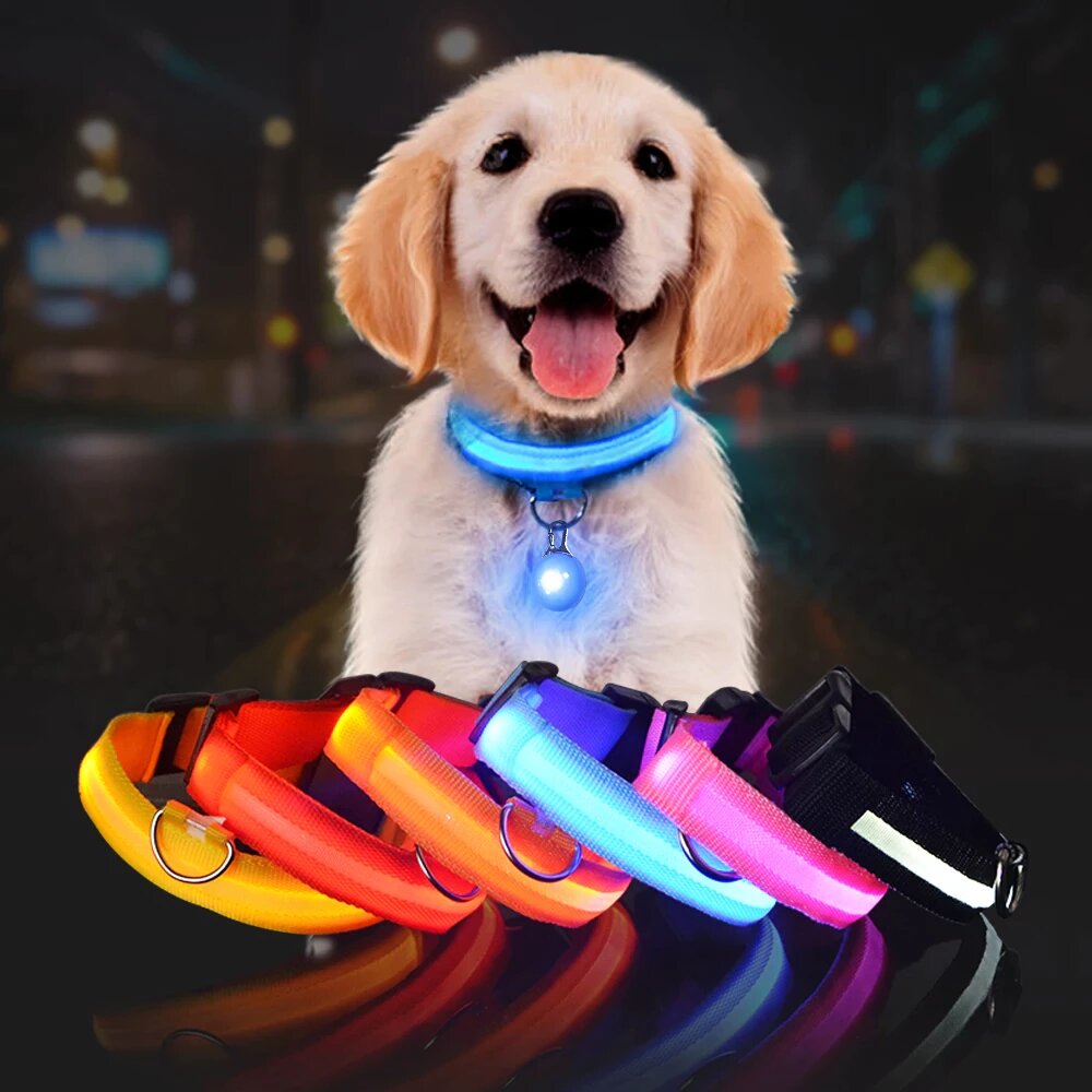 LED Dog Safety Collar – Night Glow Pet Essentials-9