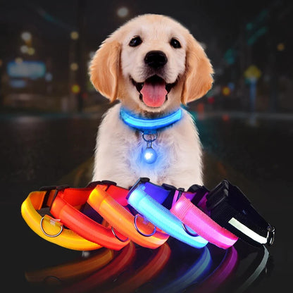 LED Dog Safety Collar – Night Glow Pet Essentials-9