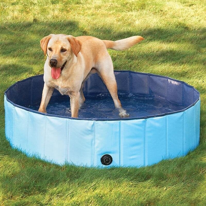 Foldable Pet Swimming Pool Pet Essentials-9