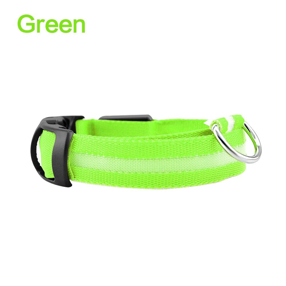 LED Dog Safety Collar – Night Glow Pet Essentials-9