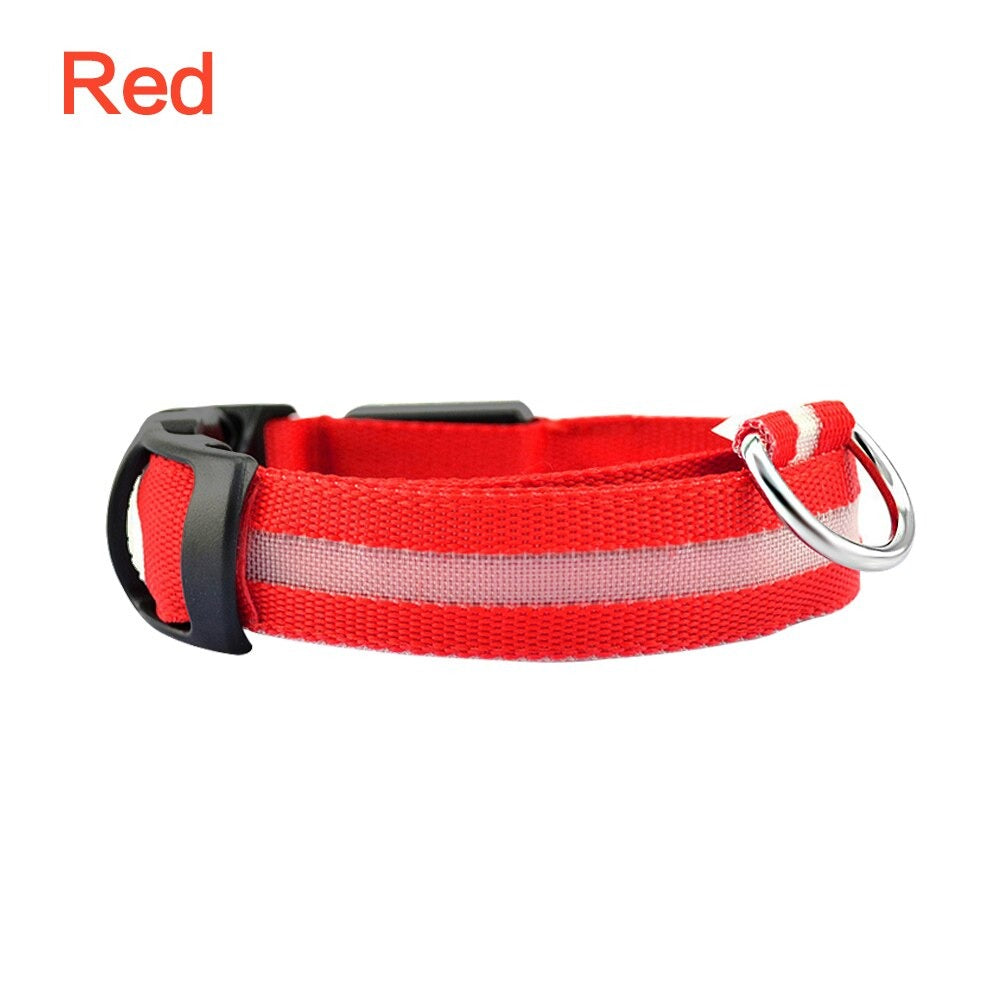 LED Dog Safety Collar – Night Glow Pet Essentials-9